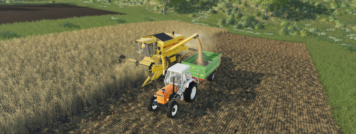 Bondeprofil: Farming Simulator 19